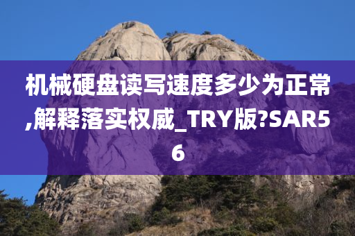 机械硬盘读写速度多少为正常,解释落实权威_TRY版?SAR56