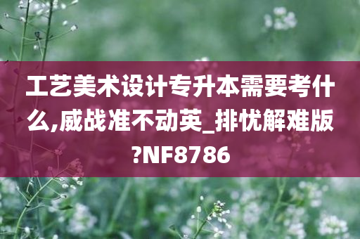 工艺美术设计专升本需要考什么,威战准不动英_排忧解难版?NF8786