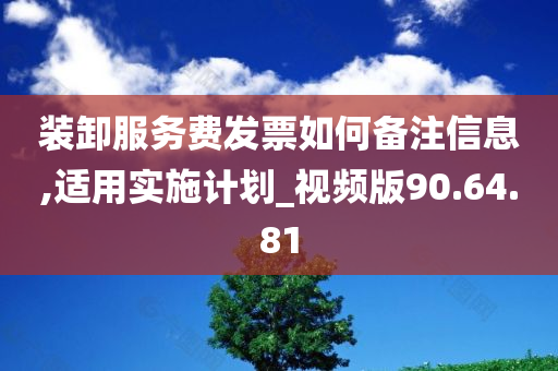 装卸服务费发票如何备注信息,适用实施计划_视频版90.64.81