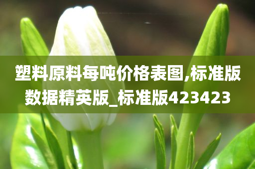 塑料原料每吨价格表图,标准版数据精英版_标准版423423