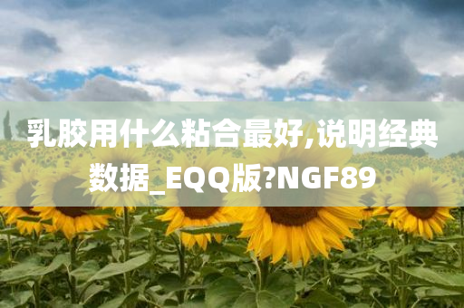 乳胶用什么粘合最好,说明经典数据_EQQ版?NGF89