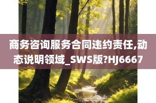 商务咨询服务合同违约责任,动态说明领域_SWS版?HJ6667