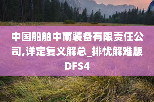 中国船舶中南装备有限责任公司,详定复义解总_排忧解难版DFS4