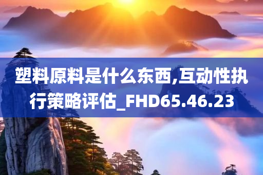 塑料原料是什么东西,互动性执行策略评估_FHD65.46.23