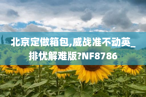 北京定做箱包,威战准不动英_排忧解难版?NF8786