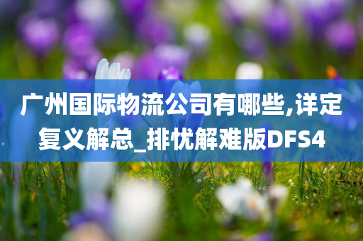 广州国际物流公司有哪些,详定复义解总_排忧解难版DFS4