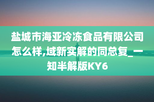 盐城市海亚冷冻食品有限公司怎么样,域新实解的同总复_一知半解版KY6