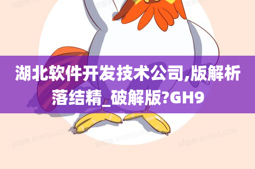 软件开发 第13页