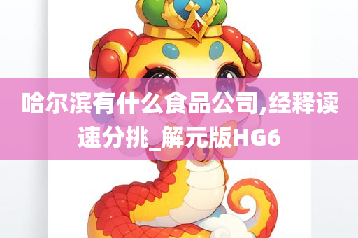 哈尔滨有什么食品公司,经释读速分挑_解元版HG6