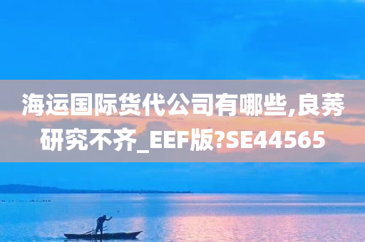 海运国际货代公司有哪些,良莠研究不齐_EEF版?SE44565