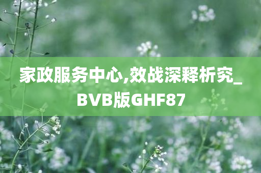 家政服务中心,效战深释析究_BVB版GHF87