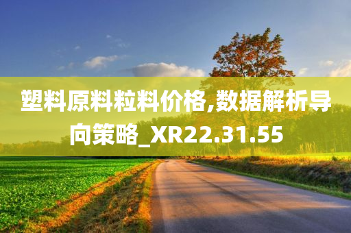 塑料原料粒料价格,数据解析导向策略_XR22.31.55