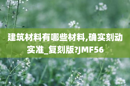 建筑材料有哪些材料,确实刻动实准_复刻版?JMF56