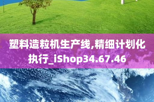 塑料造粒机生产线,精细计划化执行_iShop34.67.46