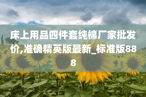 床上用品四件套纯棉厂家批发价,准确精英版最新_标准版888