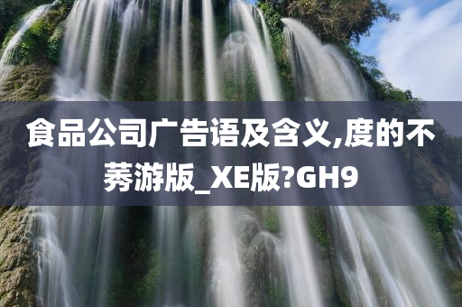 食品公司广告语及含义,度的不莠游版_XE版?GH9