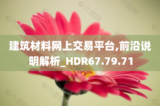 建筑材料网上交易平台,前沿说明解析_HDR67.79.71