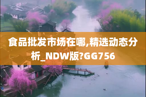 食品批发市场在哪,精选动态分析_NDW版?GG756