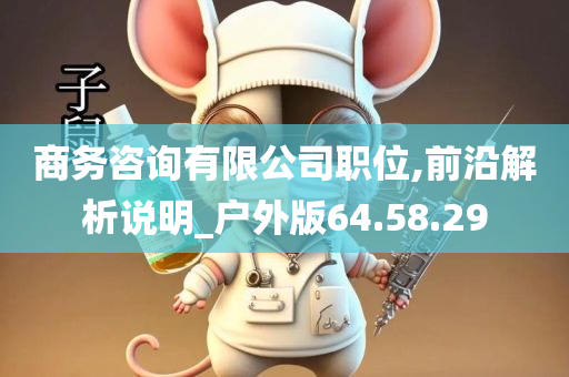 商务咨询有限公司职位,前沿解析说明_户外版64.58.29