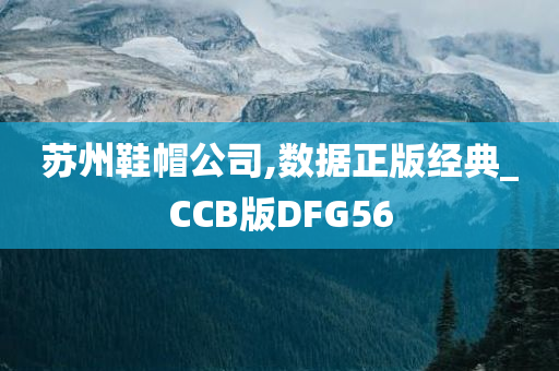 苏州鞋帽公司,数据正版经典_CCB版DFG56