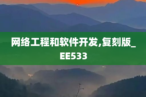 网络工程和软件开发,复刻版_EE533