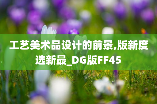 工艺美术品设计的前景,版新度选新最_DG版FF45