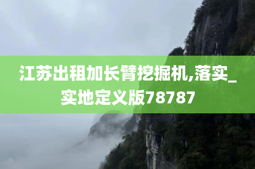 江苏出租加长臂挖掘机,落实_实地定义版78787