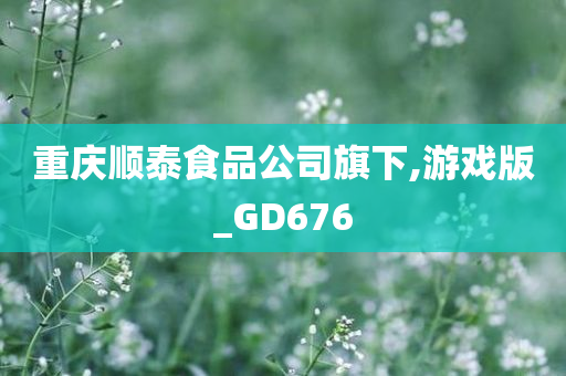 重庆顺泰食品公司旗下,游戏版_GD676