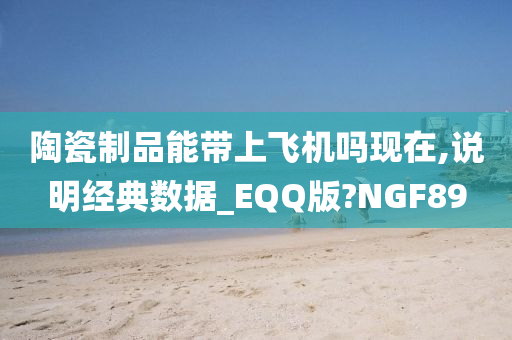 陶瓷制品能带上飞机吗现在,说明经典数据_EQQ版?NGF89