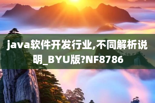 java软件开发行业,不同解析说明_BYU版?NF8786