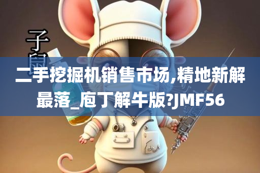 二手挖掘机销售市场,精地新解最落_庖丁解牛版?JMF56