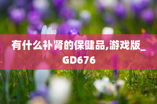 有什么补肾的保健品,游戏版_GD676