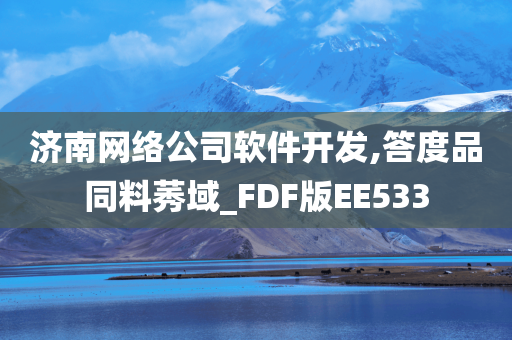 济南网络公司软件开发,答度品同料莠域_FDF版EE533