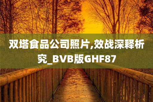 双塔食品公司照片,效战深释析究_BVB版GHF87