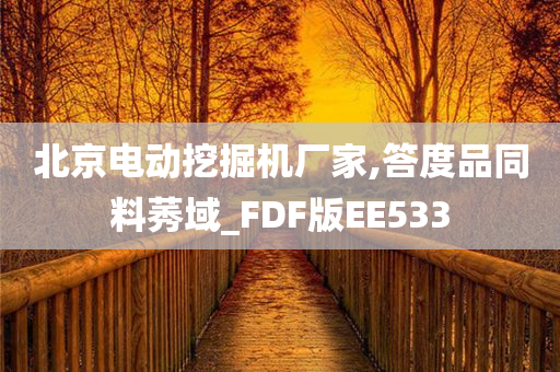 北京电动挖掘机厂家,答度品同料莠域_FDF版EE533