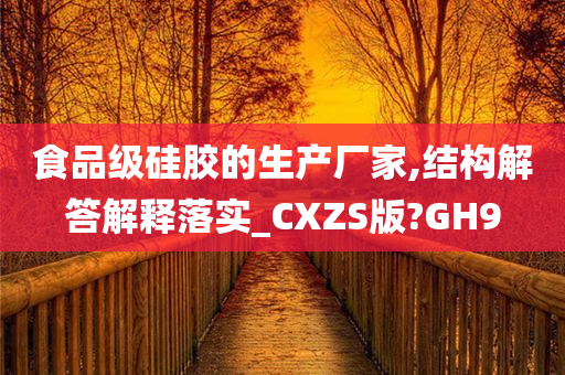 食品级硅胶的生产厂家,结构解答解释落实_CXZS版?GH9