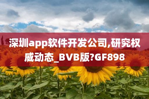 深圳app软件开发公司,研究权威动态_BVB版?GF898