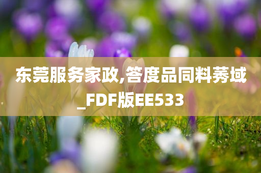 东莞服务家政,答度品同料莠域_FDF版EE533