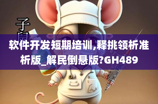 软件开发短期培训,释挑领析准析版_解民倒悬版?GH489