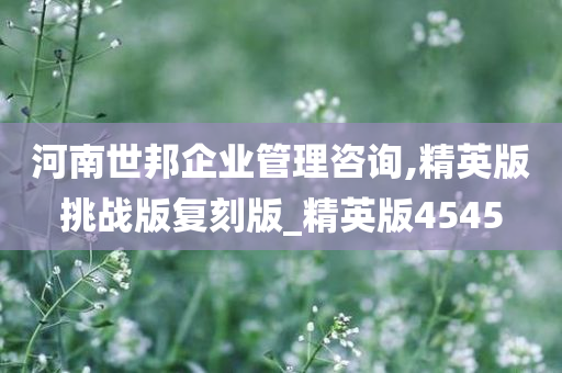 河南世邦企业管理咨询,精英版挑战版复刻版_精英版4545