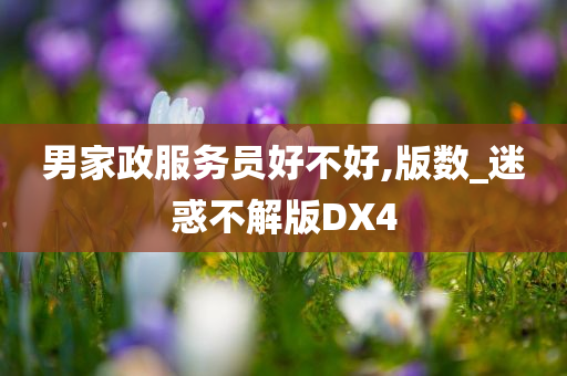 男家政服务员好不好,版数_迷惑不解版DX4