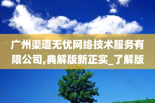 广州渠道无忧网络技术服务有限公司,典解版新正实_了解版