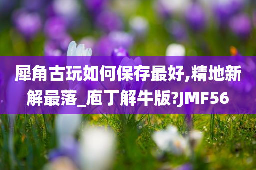 犀角古玩如何保存最好,精地新解最落_庖丁解牛版?JMF56