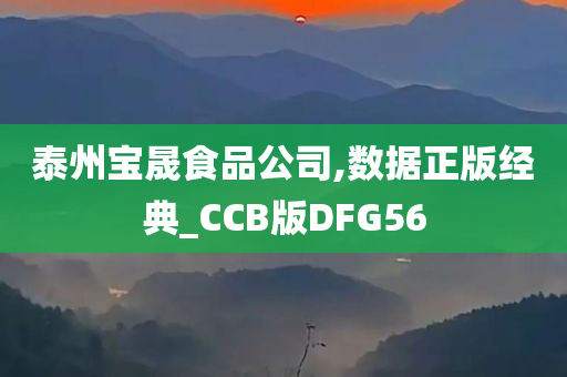 泰州宝晟食品公司,数据正版经典_CCB版DFG56