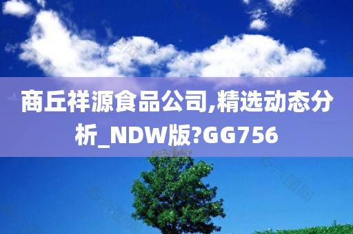 商丘祥源食品公司,精选动态分析_NDW版?GG756