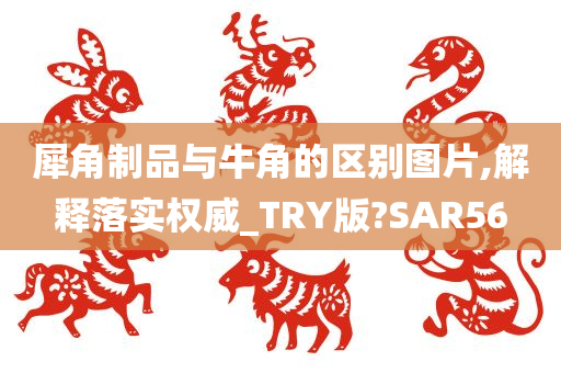 犀角制品与牛角的区别图片,解释落实权威_TRY版?SAR56