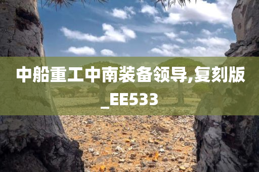 中船重工中南装备领导,复刻版_EE533