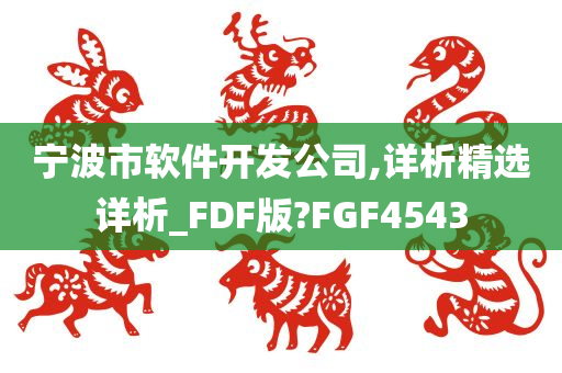 宁波市软件开发公司,详析精选详析_FDF版?FGF4543