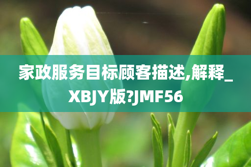 家政服务目标顾客描述,解释_XBJY版?JMF56