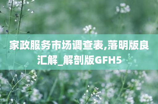 家政服务市场调查表,落明版良汇解_解剖版GFH5